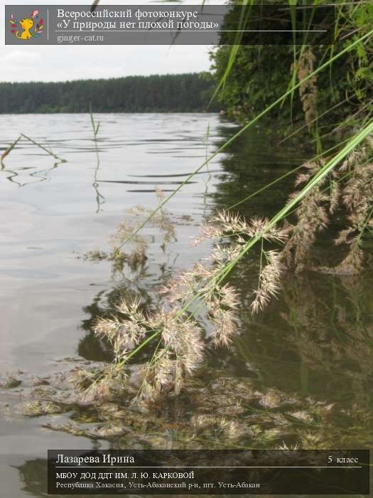 Всероссийский фотоконкурс «У природы нет плохой погоды»  - детский рисунок, поделка, творческая работа, категория школьники, 5 класс, дистанционный конкурс, школьный конкурс