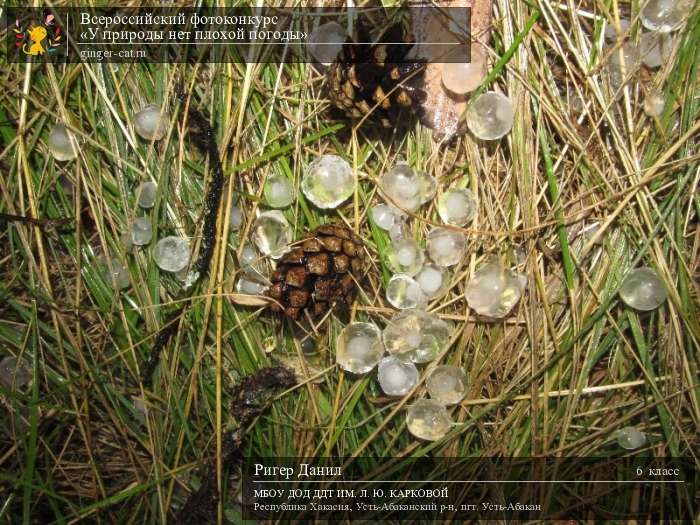 Всероссийский фотоконкурс «У природы нет плохой погоды»  - детский рисунок, поделка, творческая работа, категория школьники, 6 класс, дистанционный конкурс, школьный конкурс