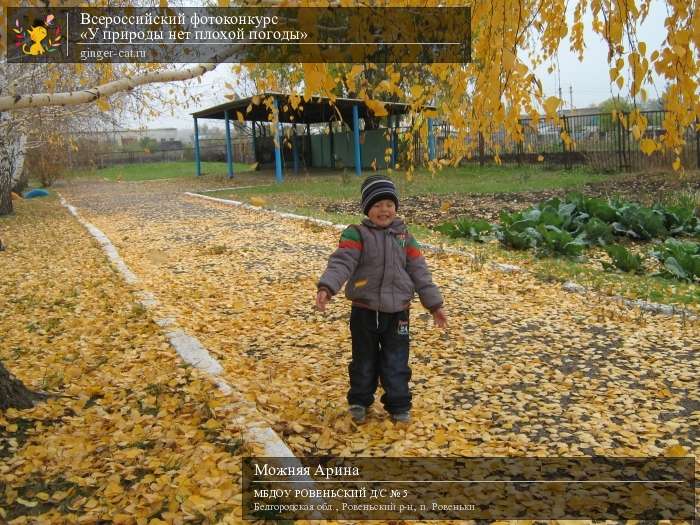 Всероссийский фотоконкурс «У природы нет плохой погоды»  - детский рисунок, поделка, творческая работа, категория дошкольники, детский сад, дистанционный конкурс, школьный конкурс