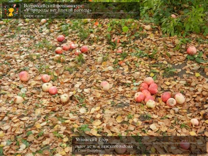 Всероссийский фотоконкурс «У природы нет плохой погоды»  - детский рисунок, поделка, творческая работа, категория дошкольники, детский сад, дистанционный конкурс, школьный конкурс