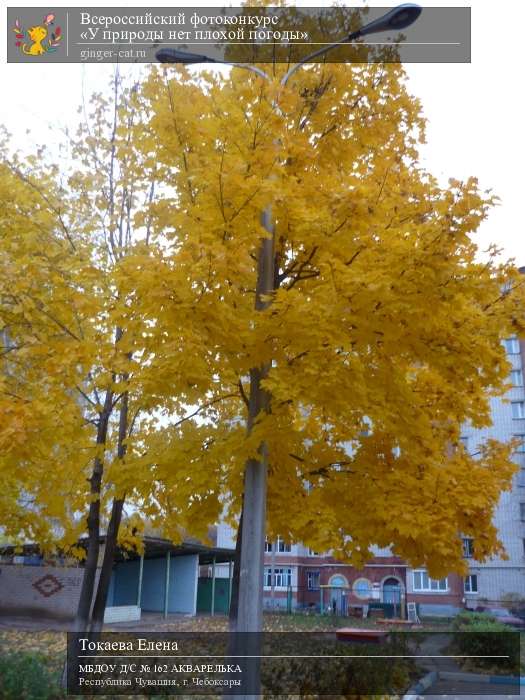 Всероссийский фотоконкурс «У природы нет плохой погоды»  - детский рисунок, поделка, творческая работа, категория дошкольники, детский сад, дистанционный конкурс, школьный конкурс