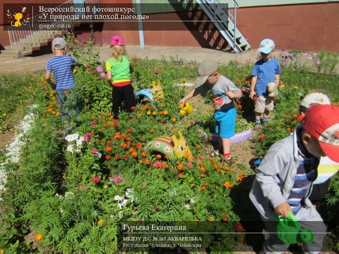 Всероссийский фотоконкурс «У природы нет плохой погоды»  - детский рисунок, поделка, творческая работа, категория дошкольники, детский сад, дистанционный конкурс, школьный конкурс