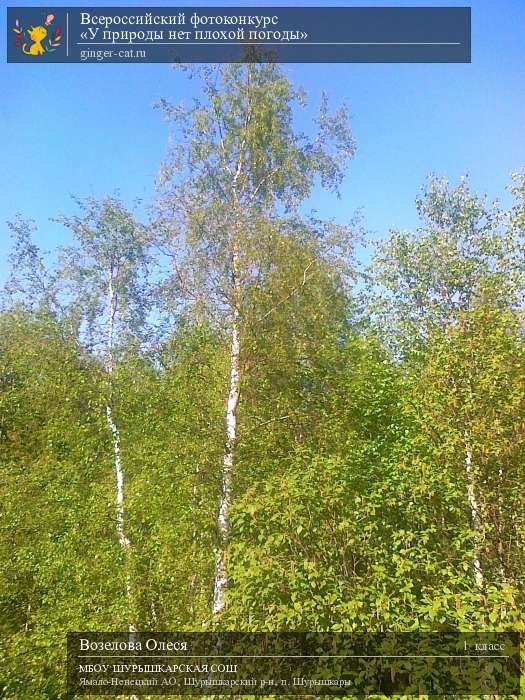 Всероссийский фотоконкурс «У природы нет плохой погоды»  - детский рисунок, поделка, творческая работа, категория школьники, 1 класс, дистанционный конкурс, школьный конкурс