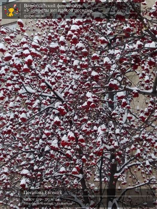 Всероссийский фотоконкурс «У природы нет плохой погоды»  - детский рисунок, поделка, творческая работа, категория дошкольники, детский сад, дистанционный конкурс, школьный конкурс