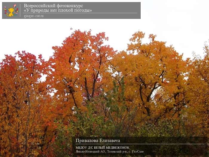 Всероссийский фотоконкурс «У природы нет плохой погоды»  - детский рисунок, поделка, творческая работа, категория дошкольники, детский сад, дистанционный конкурс, школьный конкурс