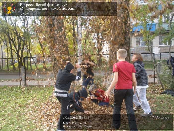 Всероссийский фотоконкурс «У природы нет плохой погоды»  - детский рисунок, поделка, творческая работа, категория школьники, 7 класс, дистанционный конкурс, школьный конкурс