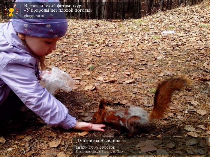 Всероссийский фотоконкурс «У природы нет плохой погоды»  - детский рисунок, поделка, творческая работа, категория дошкольники, детский сад, дистанционный конкурс, школьный конкурс