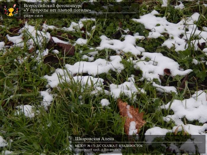 Всероссийский фотоконкурс «У природы нет плохой погоды»  - детский рисунок, поделка, творческая работа, категория дошкольники, детский сад, дистанционный конкурс, школьный конкурс