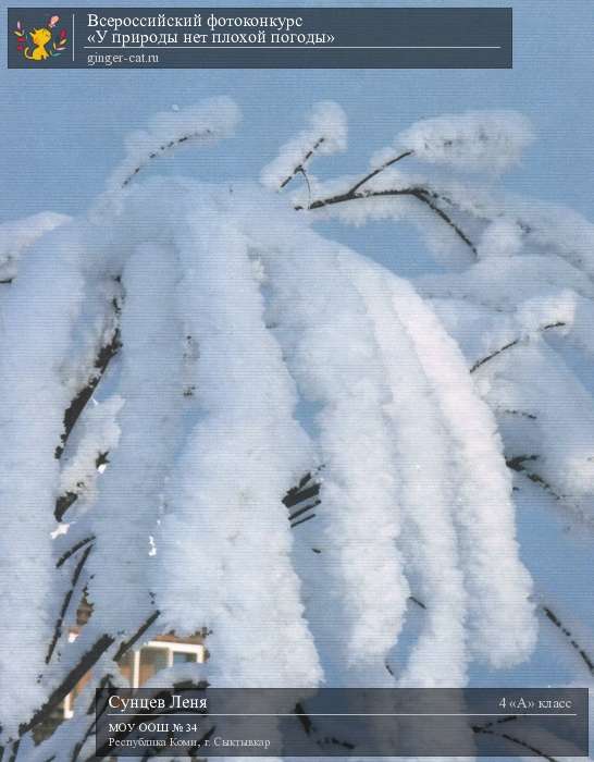 Всероссийский фотоконкурс «У природы нет плохой погоды»  - детский рисунок, поделка, творческая работа, категория школьники, 4 класс, дистанционный конкурс, школьный конкурс