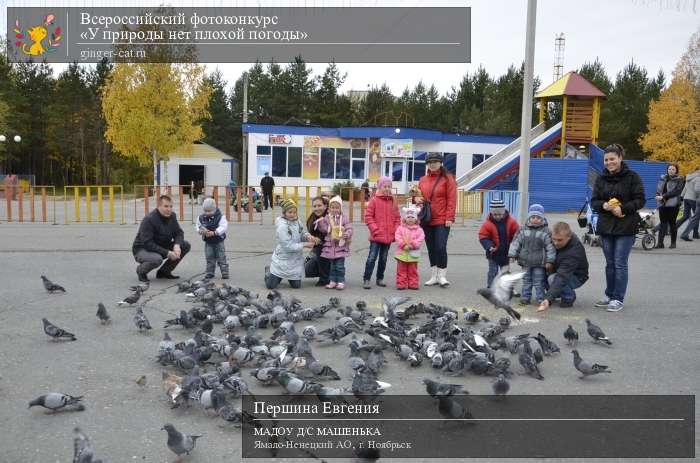 Всероссийский фотоконкурс «У природы нет плохой погоды»  - детский рисунок, поделка, творческая работа, категория дошкольники, детский сад, дистанционный конкурс, школьный конкурс