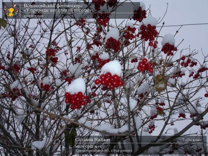 Всероссийский фотоконкурс «У природы нет плохой погоды»  - детский рисунок, поделка, творческая работа, категория школьники, 7 класс, дистанционный конкурс, школьный конкурс