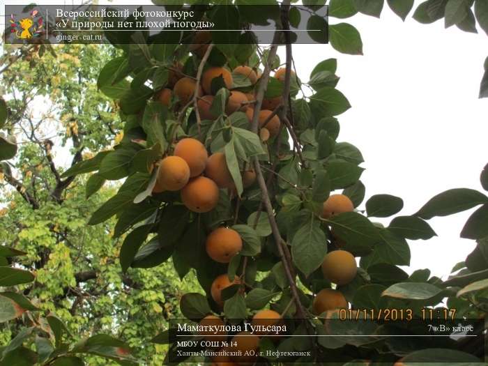 Всероссийский фотоконкурс «У природы нет плохой погоды»  - детский рисунок, поделка, творческая работа, категория школьники, 7 класс, дистанционный конкурс, школьный конкурс