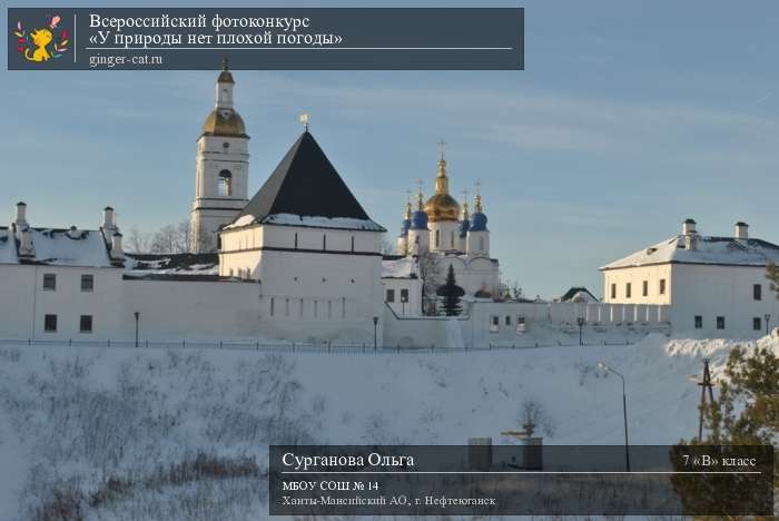 Всероссийский фотоконкурс «У природы нет плохой погоды»  - детский рисунок, поделка, творческая работа, категория школьники, 7 класс, дистанционный конкурс, школьный конкурс