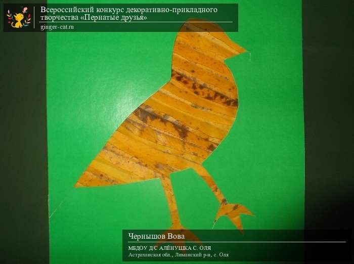 Всероссийский конкурс декоративно-прикладного творчества «Пернатые друзья»  - детский рисунок, поделка, творческая работа, категория дошкольники, детский сад, дистанционный конкурс, школьный конкурс