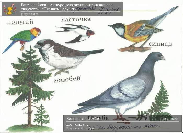 Всероссийский конкурс декоративно-прикладного творчества «Пернатые друзья»  - детский рисунок, поделка, творческая работа, категория школьники, 2 класс, дистанционный конкурс, школьный конкурс