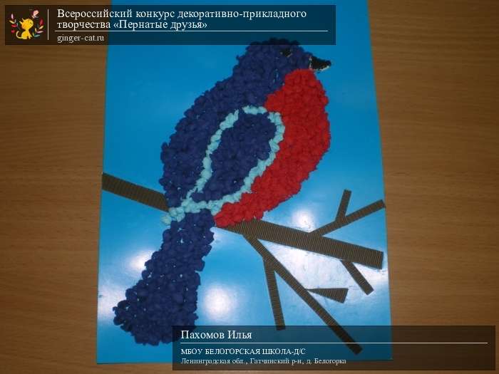 Всероссийский конкурс декоративно-прикладного творчества «Пернатые друзья»  - детский рисунок, поделка, творческая работа, категория дошкольники, детский сад, дистанционный конкурс, школьный конкурс