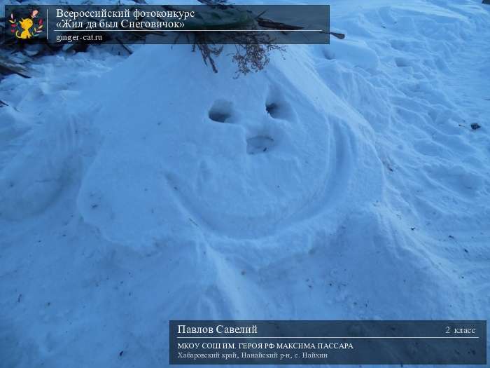 Всероссийский фотоконкурс «Жил да был Снеговичок»  - детский рисунок, поделка, творческая работа, категория школьники, 2 класс, дистанционный конкурс, школьный конкурс