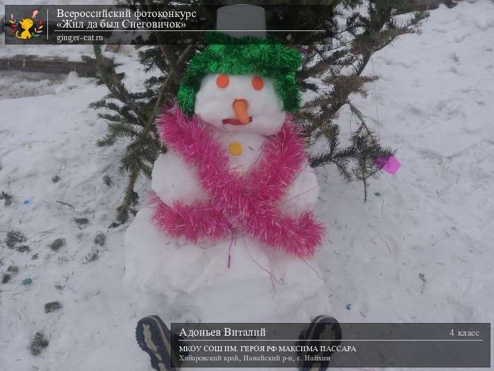 Всероссийский фотоконкурс «Жил да был Снеговичок»  - детский рисунок, поделка, творческая работа, категория школьники, 4 класс, дистанционный конкурс, школьный конкурс