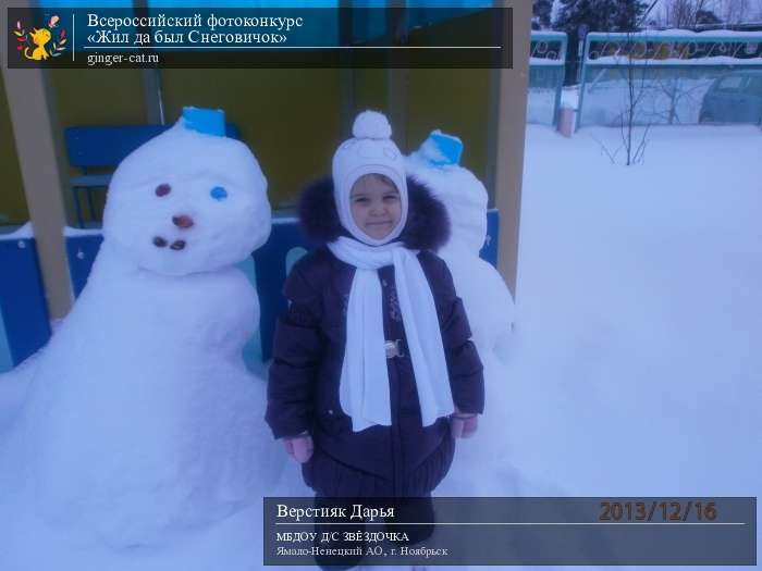 Всероссийский фотоконкурс «Жил да был Снеговичок»  - детский рисунок, поделка, творческая работа, категория дошкольники, детский сад, дистанционный конкурс, школьный конкурс