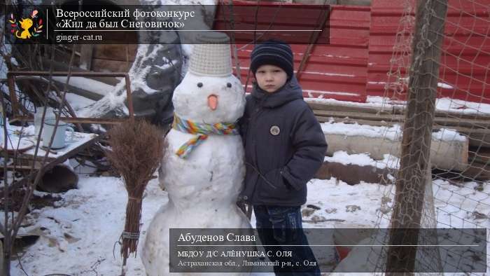 Всероссийский фотоконкурс «Жил да был Снеговичок»  - детский рисунок, поделка, творческая работа, категория дошкольники, детский сад, дистанционный конкурс, школьный конкурс