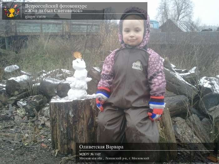 Всероссийский фотоконкурс «Жил да был Снеговичок»  - детский рисунок, поделка, творческая работа, категория дошкольники, детский сад, дистанционный конкурс, школьный конкурс