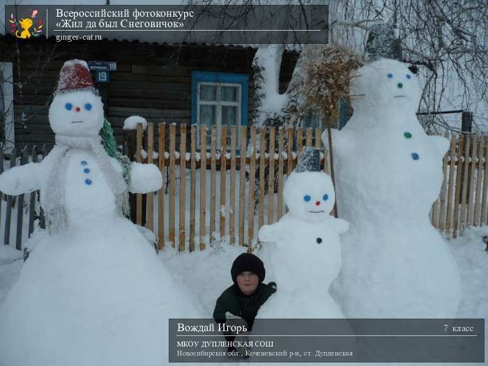 Всероссийский фотоконкурс «Жил да был Снеговичок»  - детский рисунок, поделка, творческая работа, категория школьники, 7 класс, дистанционный конкурс, школьный конкурс