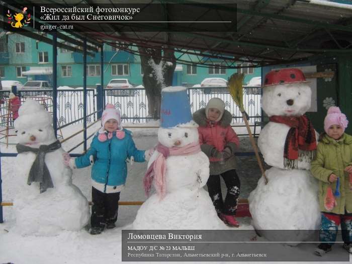 Всероссийский фотоконкурс «Жил да был Снеговичок»  - детский рисунок, поделка, творческая работа, категория дошкольники, детский сад, дистанционный конкурс, школьный конкурс