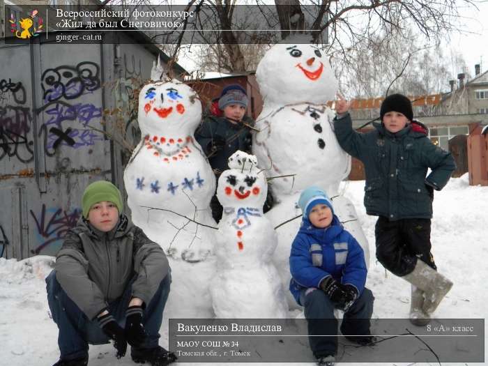 Всероссийский фотоконкурс «Жил да был Снеговичок»  - детский рисунок, поделка, творческая работа, категория школьники, 8 класс, дистанционный конкурс, школьный конкурс