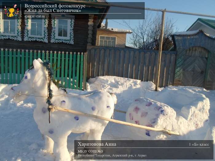 Всероссийский фотоконкурс «Жил да был Снеговичок»  - детский рисунок, поделка, творческая работа, категория школьники, 1 класс, дистанционный конкурс, школьный конкурс