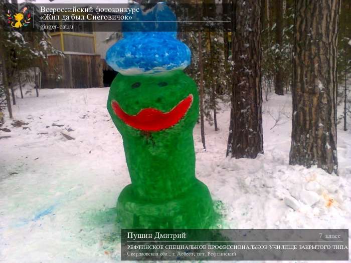 Всероссийский фотоконкурс «Жил да был Снеговичок»  - детский рисунок, поделка, творческая работа, категория школьники, 7 класс, дистанционный конкурс, школьный конкурс