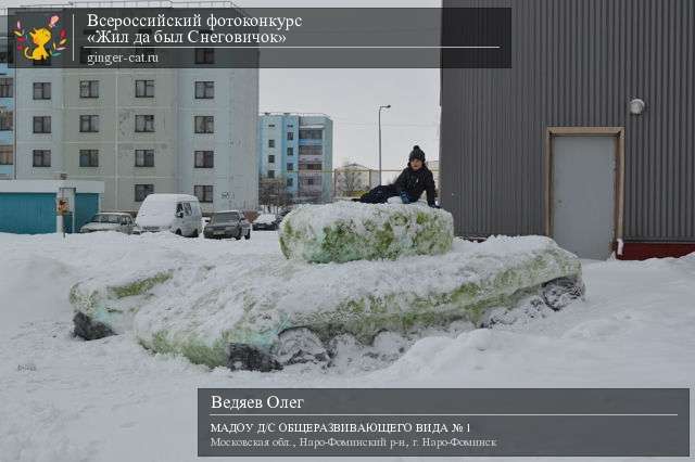 Всероссийский фотоконкурс «Жил да был Снеговичок»  - детский рисунок, поделка, творческая работа, категория дошкольники, детский сад, дистанционный конкурс, школьный конкурс