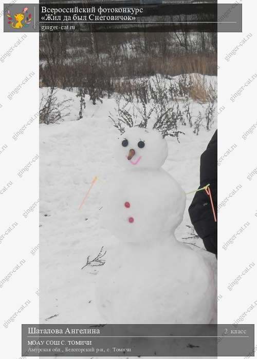 Всероссийский фотоконкурс «Жил да был Снеговичок»  - детский рисунок, поделка, творческая работа, категория школьники, 2 класс, дистанционный конкурс, школьный конкурс