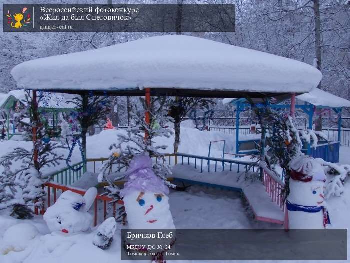 Всероссийский фотоконкурс «Жил да был Снеговичок»  - детский рисунок, поделка, творческая работа, категория дошкольники, детский сад, дистанционный конкурс, школьный конкурс