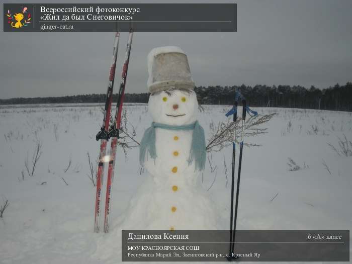 Всероссийский фотоконкурс «Жил да был Снеговичок»  - детский рисунок, поделка, творческая работа, категория школьники, 6 класс, дистанционный конкурс, школьный конкурс