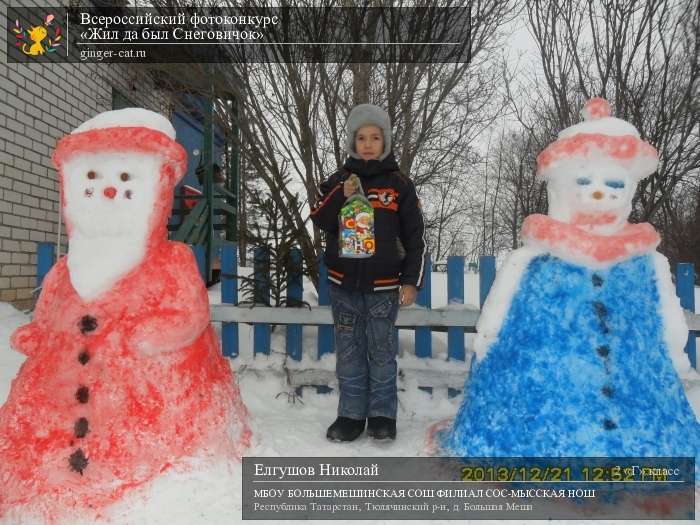 Всероссийский фотоконкурс «Жил да был Снеговичок»  - детский рисунок, поделка, творческая работа, категория школьники, 2 класс, дистанционный конкурс, школьный конкурс