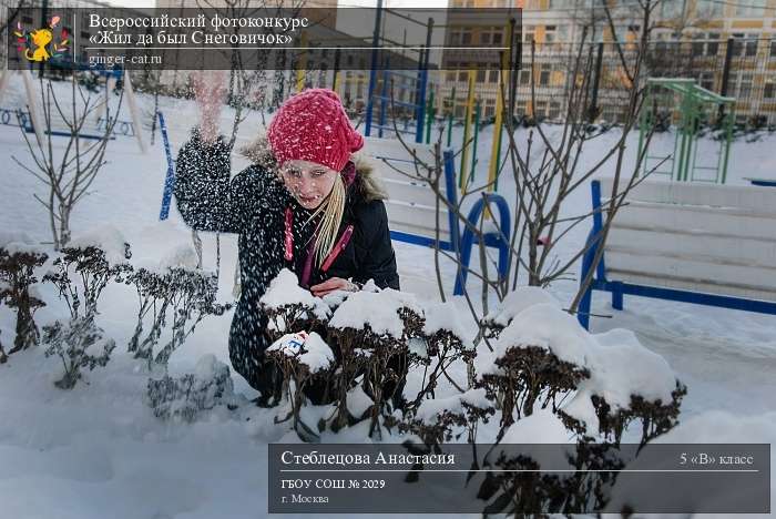 Всероссийский фотоконкурс «Жил да был Снеговичок»  - детский рисунок, поделка, творческая работа, категория школьники, 5 класс, дистанционный конкурс, школьный конкурс