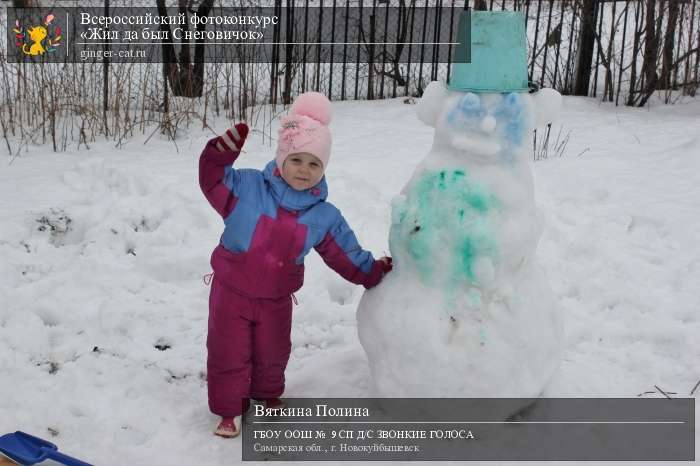 Всероссийский фотоконкурс «Жил да был Снеговичок»  - детский рисунок, поделка, творческая работа, категория дошкольники, детский сад, дистанционный конкурс, школьный конкурс