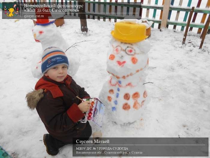 Всероссийский фотоконкурс «Жил да был Снеговичок»  - детский рисунок, поделка, творческая работа, категория дошкольники, детский сад, дистанционный конкурс, школьный конкурс