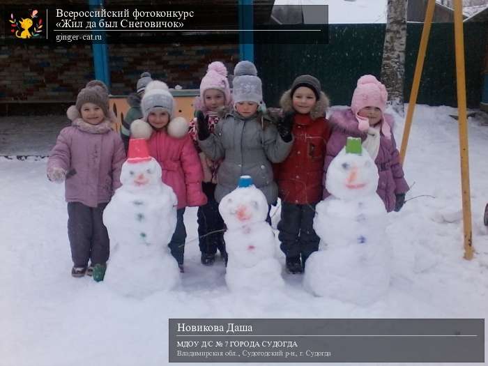 Всероссийский фотоконкурс «Жил да был Снеговичок»  - детский рисунок, поделка, творческая работа, категория дошкольники, детский сад, дистанционный конкурс, школьный конкурс