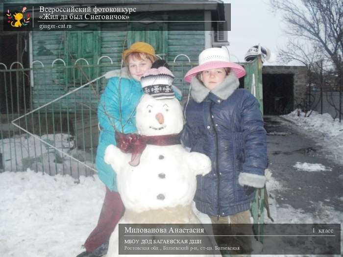 Всероссийский фотоконкурс «Жил да был Снеговичок»  - детский рисунок, поделка, творческая работа, категория школьники, 1 класс, дистанционный конкурс, школьный конкурс