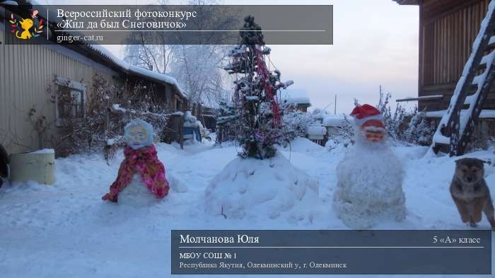 Всероссийский фотоконкурс «Жил да был Снеговичок»  - детский рисунок, поделка, творческая работа, категория школьники, 5 класс, дистанционный конкурс, школьный конкурс