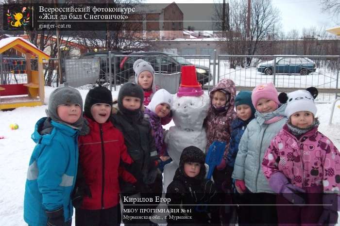 Всероссийский фотоконкурс «Жил да был Снеговичок»  - детский рисунок, поделка, творческая работа, категория дошкольники, детский сад, дистанционный конкурс, школьный конкурс