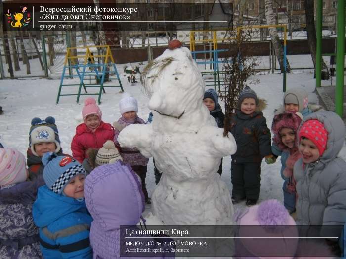 Всероссийский фотоконкурс «Жил да был Снеговичок»  - детский рисунок, поделка, творческая работа, категория дошкольники, детский сад, дистанционный конкурс, школьный конкурс