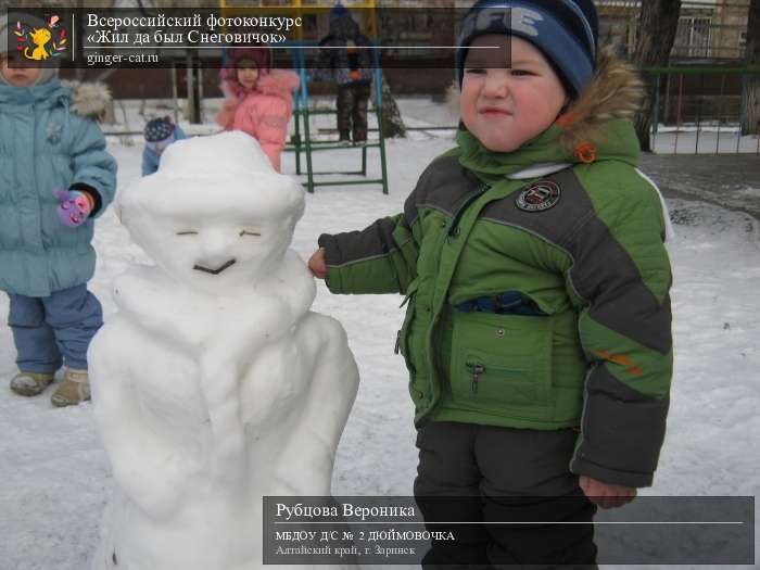 Всероссийский фотоконкурс «Жил да был Снеговичок»  - детский рисунок, поделка, творческая работа, категория дошкольники, детский сад, дистанционный конкурс, школьный конкурс