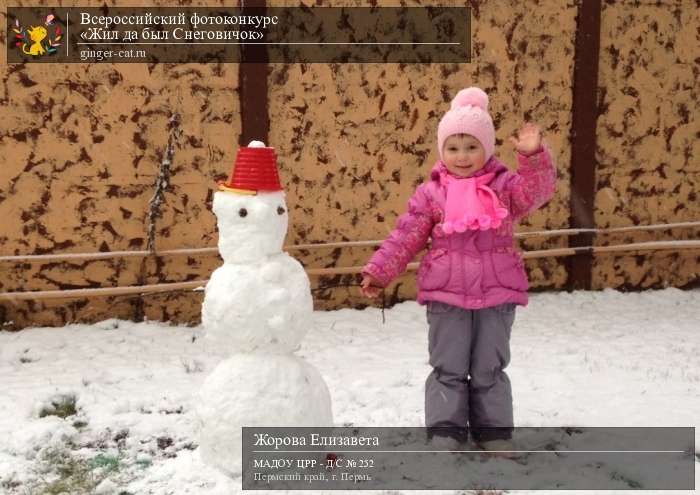 Всероссийский фотоконкурс «Жил да был Снеговичок»  - детский рисунок, поделка, творческая работа, категория дошкольники, детский сад, дистанционный конкурс, школьный конкурс