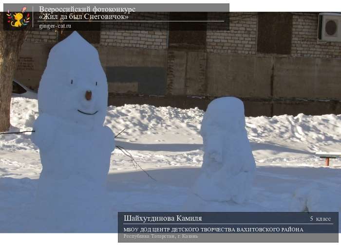 Всероссийский фотоконкурс «Жил да был Снеговичок»  - детский рисунок, поделка, творческая работа, категория школьники, 5 класс, дистанционный конкурс, школьный конкурс