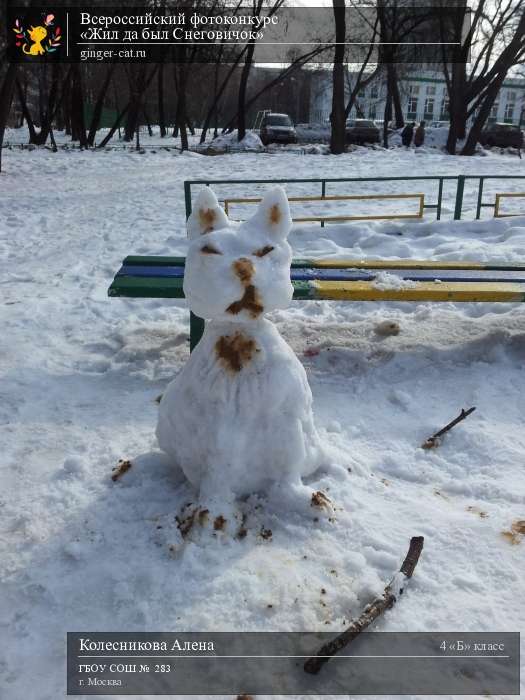 Всероссийский фотоконкурс «Жил да был Снеговичок»  - детский рисунок, поделка, творческая работа, категория школьники, 4 класс, дистанционный конкурс, школьный конкурс