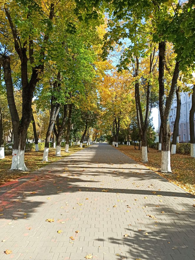 Международный творческий конкурс «Краски осени»  - детский рисунок, поделка, творческая работа, категория школьники, 8 класс, дистанционный конкурс, школьный конкурс