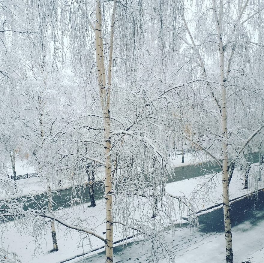 Международный творческий конкурс «В декабре, в декабре все деревья в серебре»  - детский рисунок, поделка, творческая работа, категория дошкольники, детский сад, дистанционный конкурс, школьный конкурс