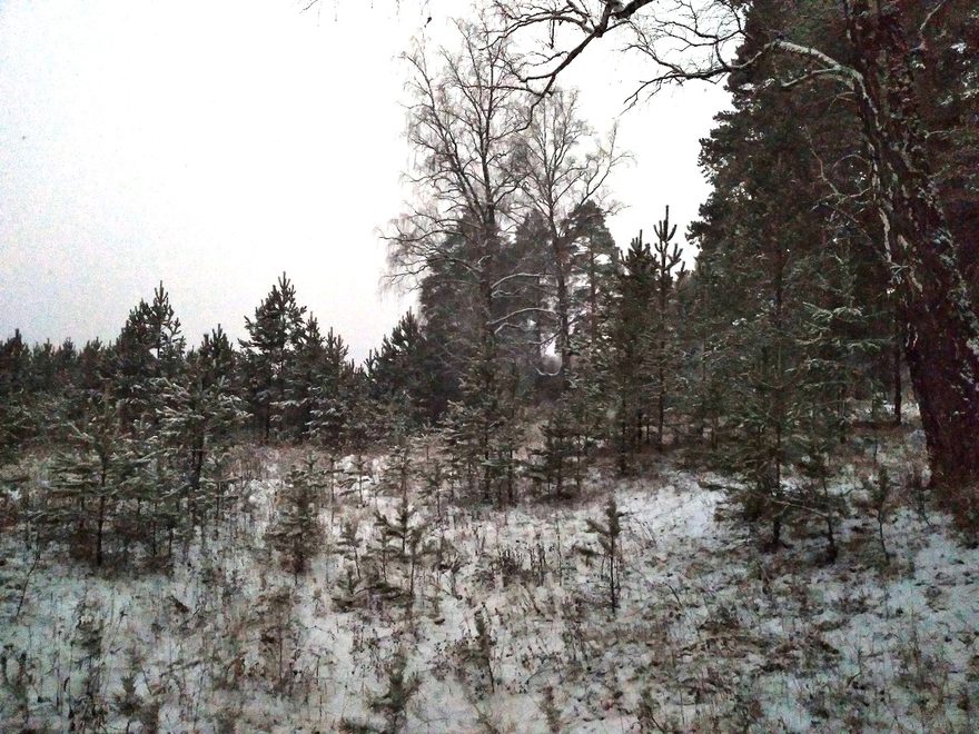 Международный творческий конкурс «В декабре, в декабре все деревья в серебре»  - детский рисунок, поделка, творческая работа, категория школьники, 11 класс, дистанционный конкурс, школьный конкурс